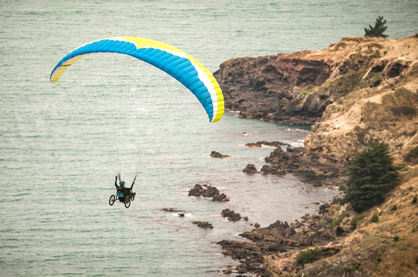 Industry Consultantancy